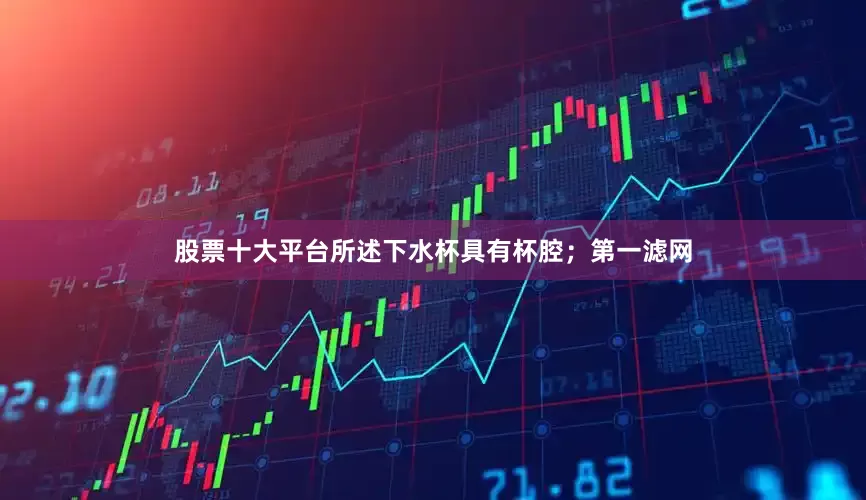 股票十大平台所述下水杯具有杯腔；第一滤网