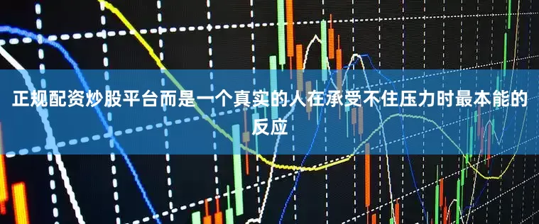 正规配资炒股平台而是一个真实的人在承受不住压力时最本能的反应