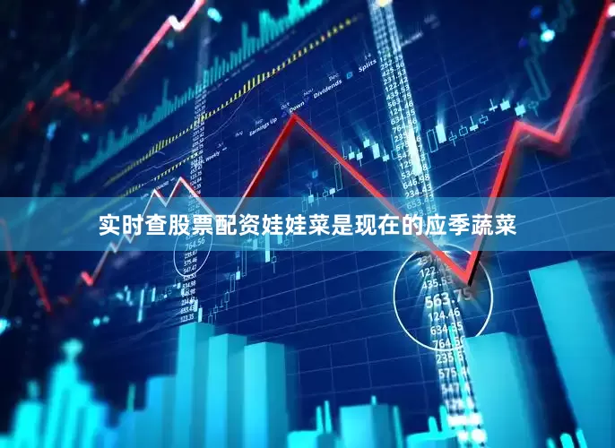 实时查股票配资娃娃菜是现在的应季蔬菜